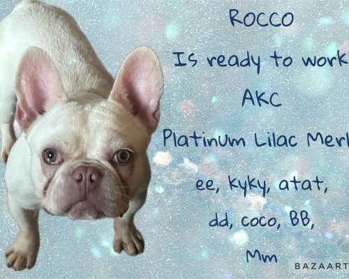 Rocco